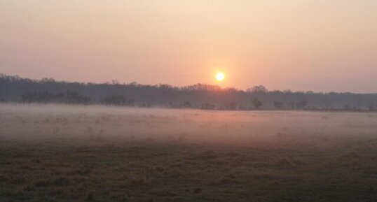 Petit matin brumeux