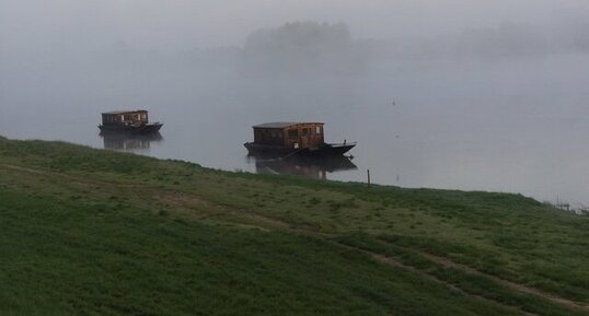 Matin brumeux sur la Loire