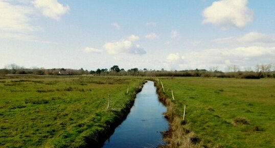 Le polder du Treustel (île Tudy)