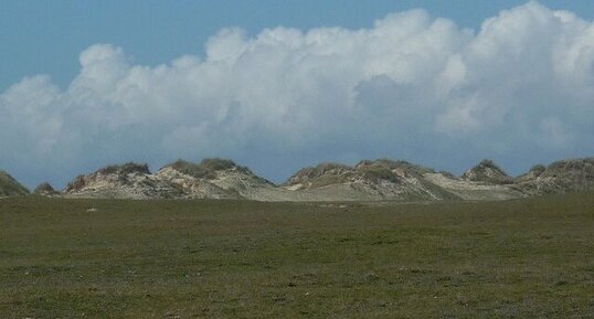 Arrière dune (baie d'Audierne)