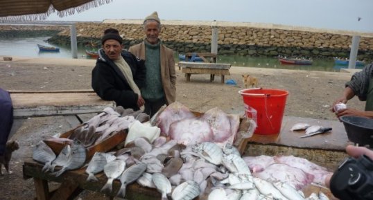 N'y a-t-il que des poissons sur cet étal ?