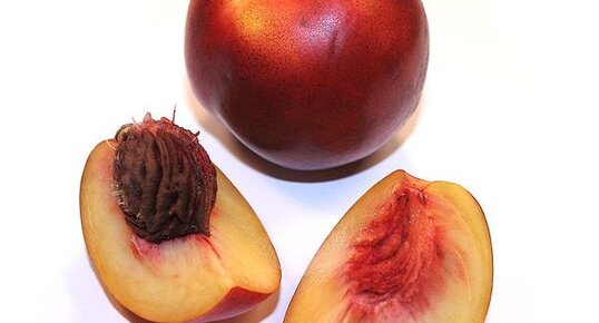 Quelle est la différence entre Ubuntu et une nectarine ?