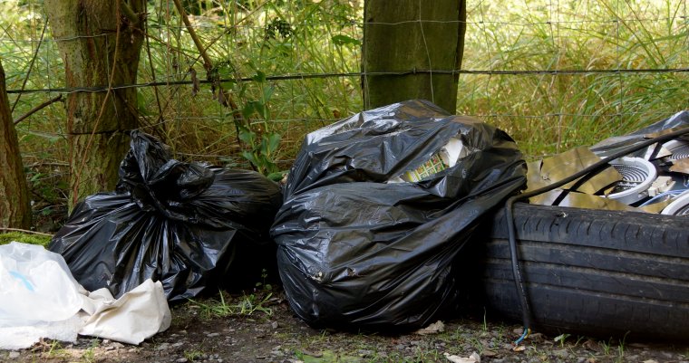 Vitrocéramique sacs poubelles et Epipactis