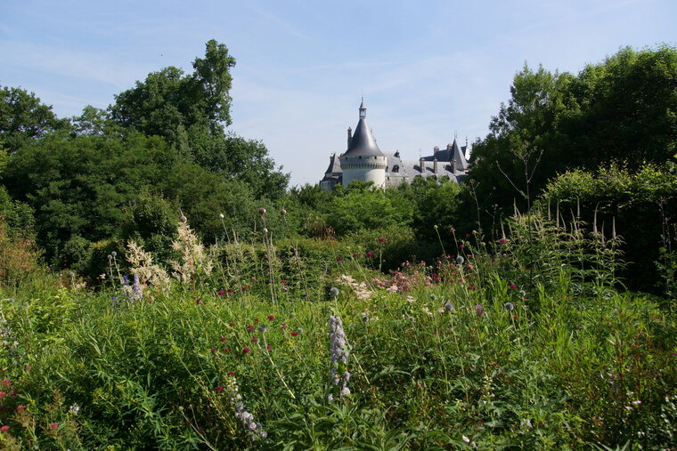 Château de Chaumont sur Loire