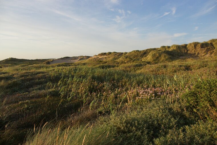 Dunes d Ambleteuse