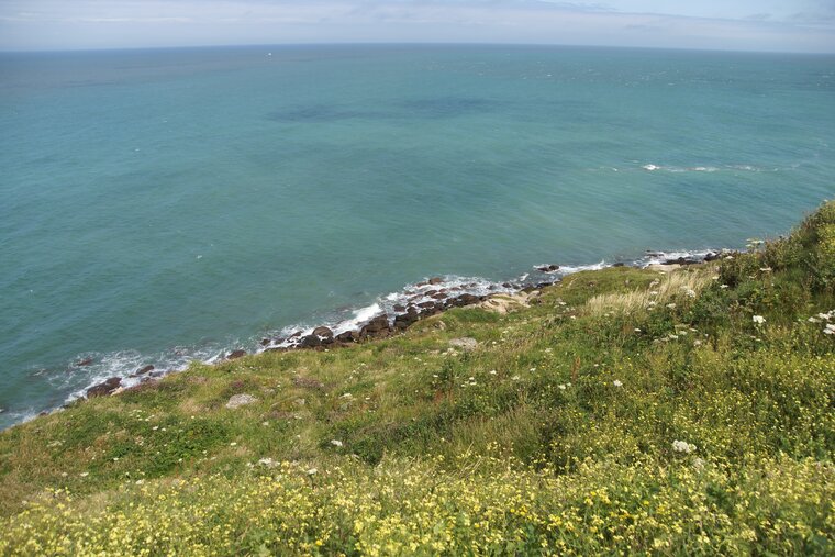 Falaise du Cap gris nez