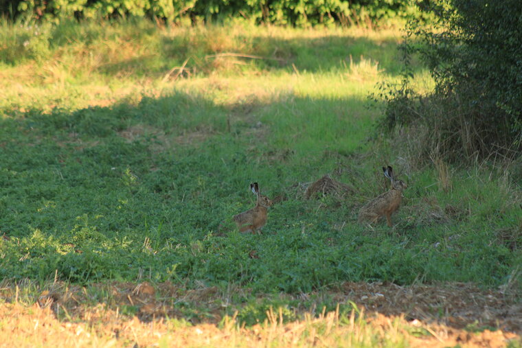 GABIN 2014 08 16 146