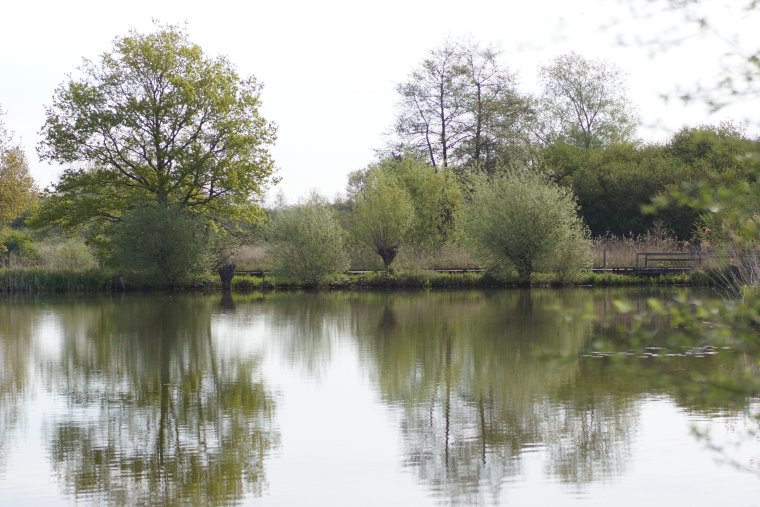 Le Marais Audomarois