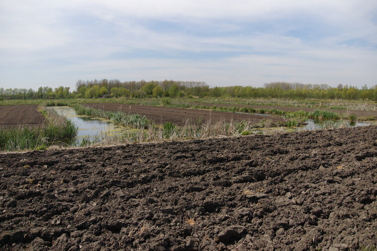 Le Marais Audomarois 2