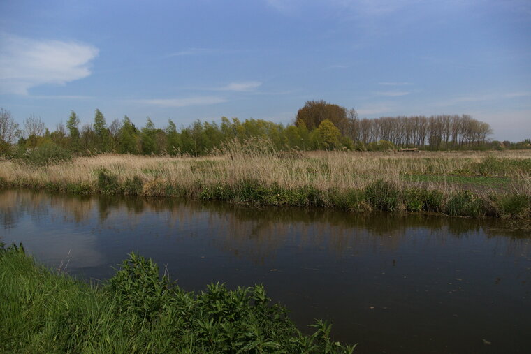 Le Marais Audomarois 3