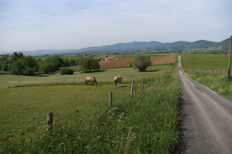 Pnr du Pilat