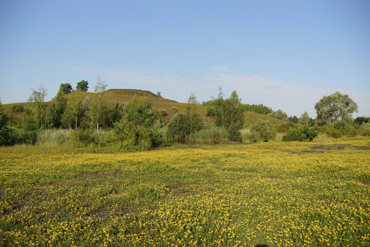 Terril de Lourches 2