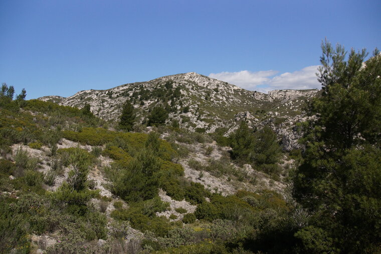 Vallon de la Vesse