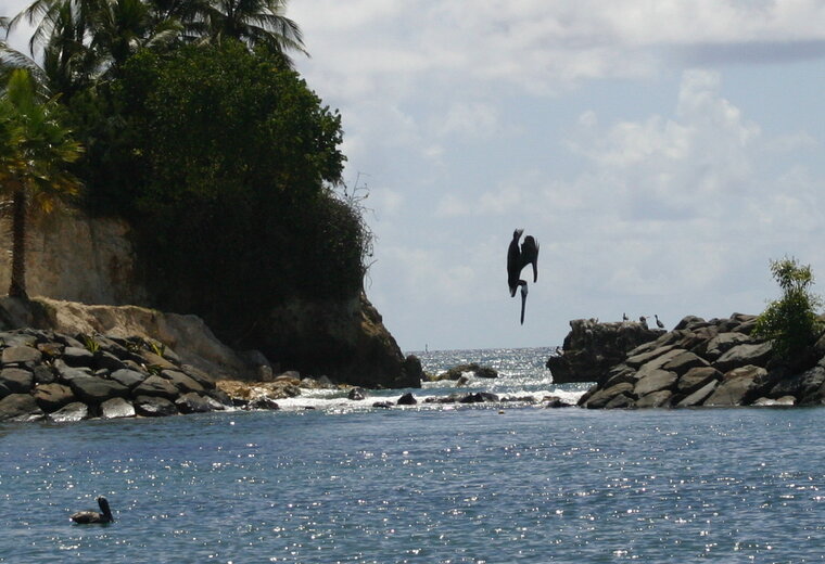 port de pêche de gosier 6