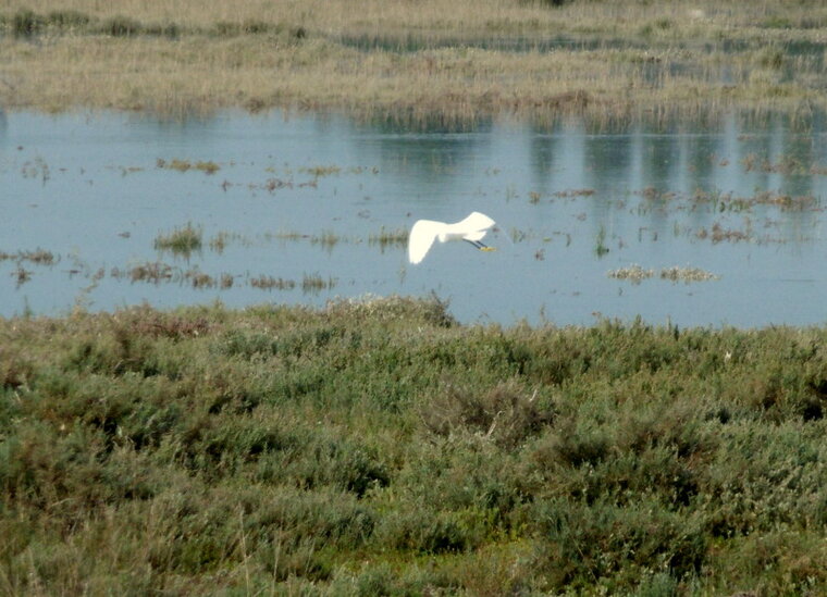 merblanche10 sept2014